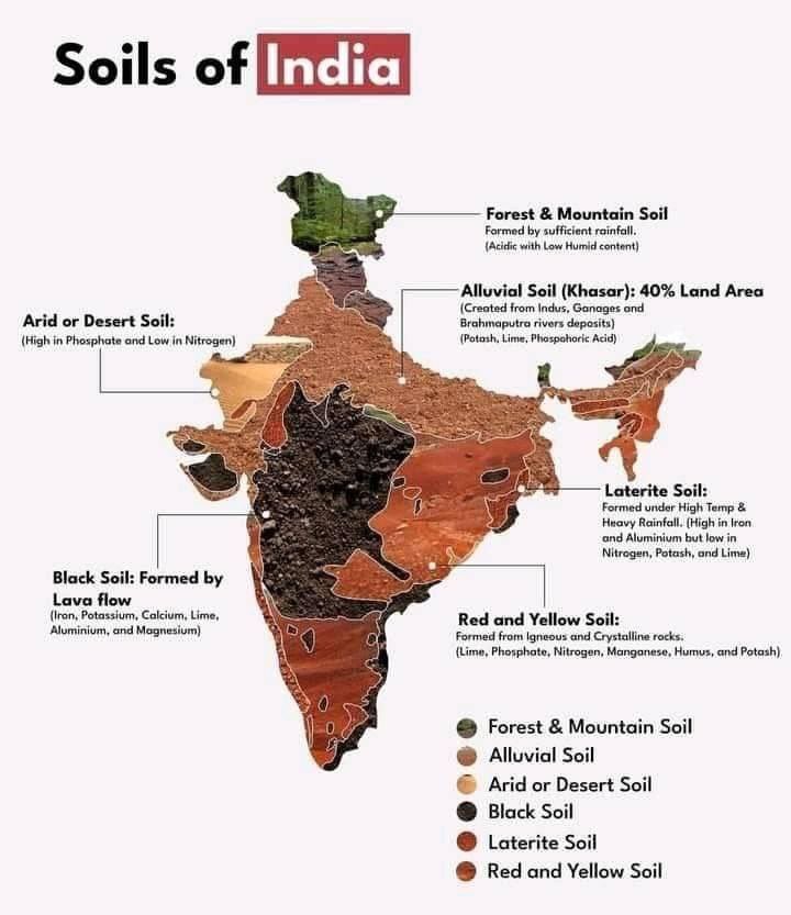 Major Soil Types of India Map